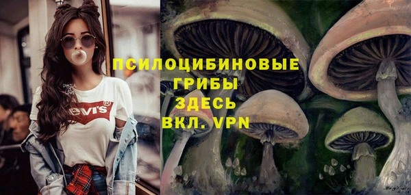 индика Алексеевка