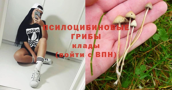 индика Алексеевка