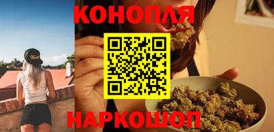 спиды Новодвинск